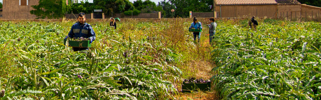 Fundació Hope Mallorca al camp de Agromart