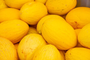 collita meló groc Agromart Son Mesquida Felanitx 2023