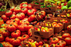 Todas las variedades de tomates en Agromart Valencia Avenida de Francia 47