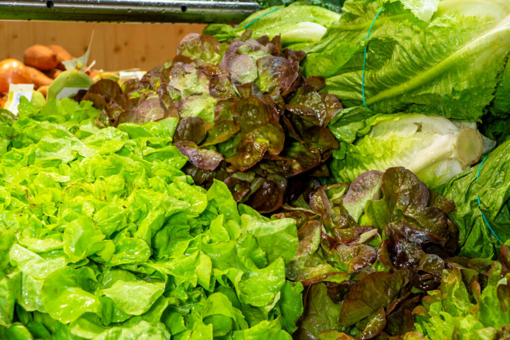 Agromart Balear en Denia Alicante Juan Chabas-04 verdura de temporada y de producción propia en valencia