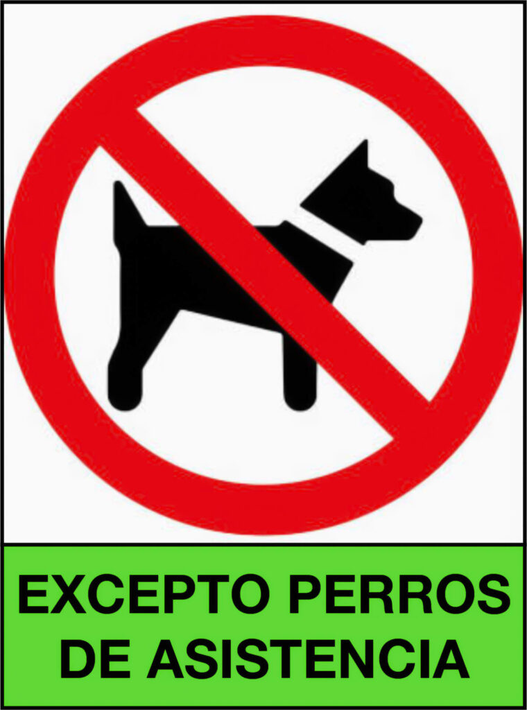 acceso permitido a todos los perros guia en establecimientos en España