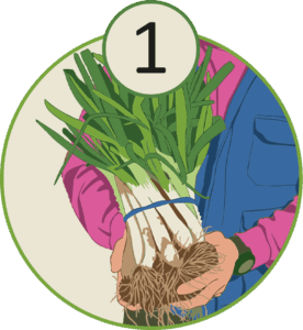 instruccions concurs calçots agromart - compra els calçots a agromart (compra los calçots en agromart)