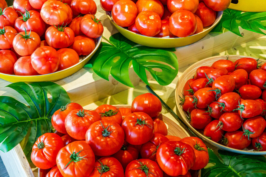 Agromart Balear - Ondara Alicante Valencia- los tomates mas rojos