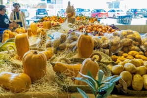 Agromart Balear - Ondara Alicante Valencia-verdura de producción propia